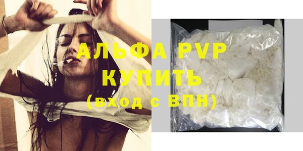 гидра Гусев
