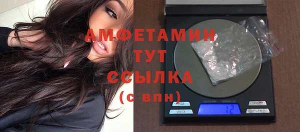 гидра Гусев