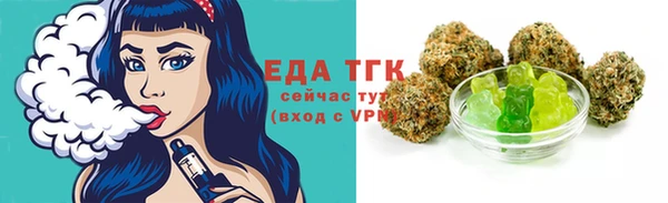 гидра Гусев