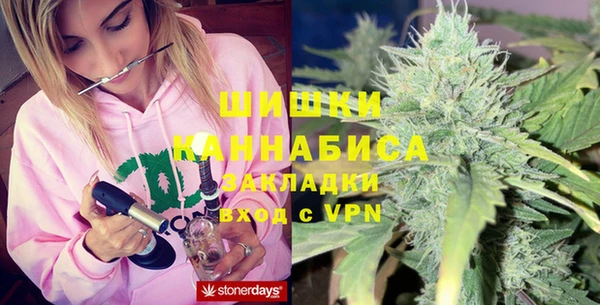 гидра Гусев