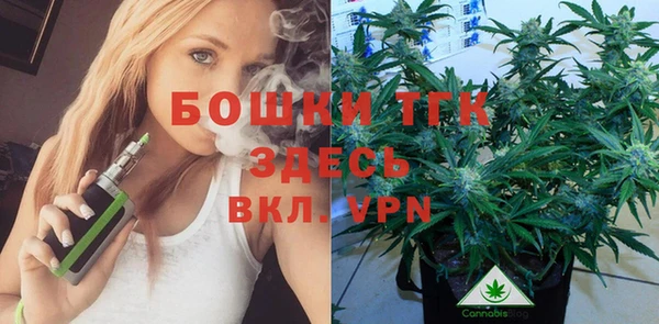 не бодяженный Гусиноозёрск