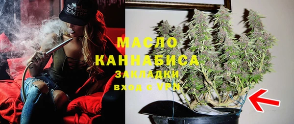 гидра Гусев