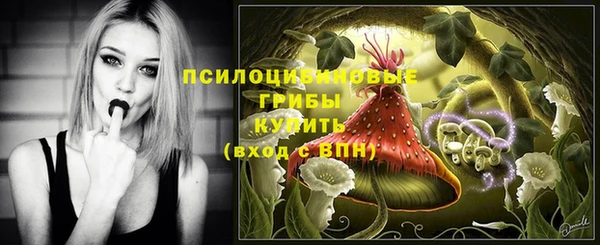 не бодяженный Гусиноозёрск