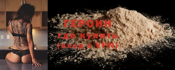 гидра Гусев