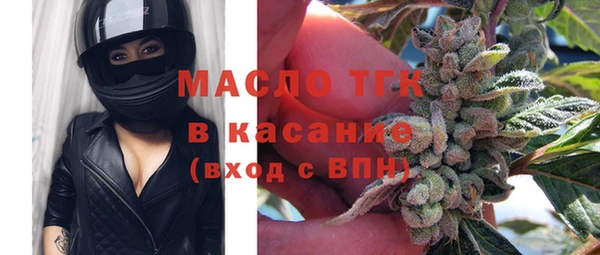гидра Гусев