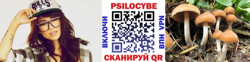 Псилоцибиновые грибы Cubensis  Евпатория 